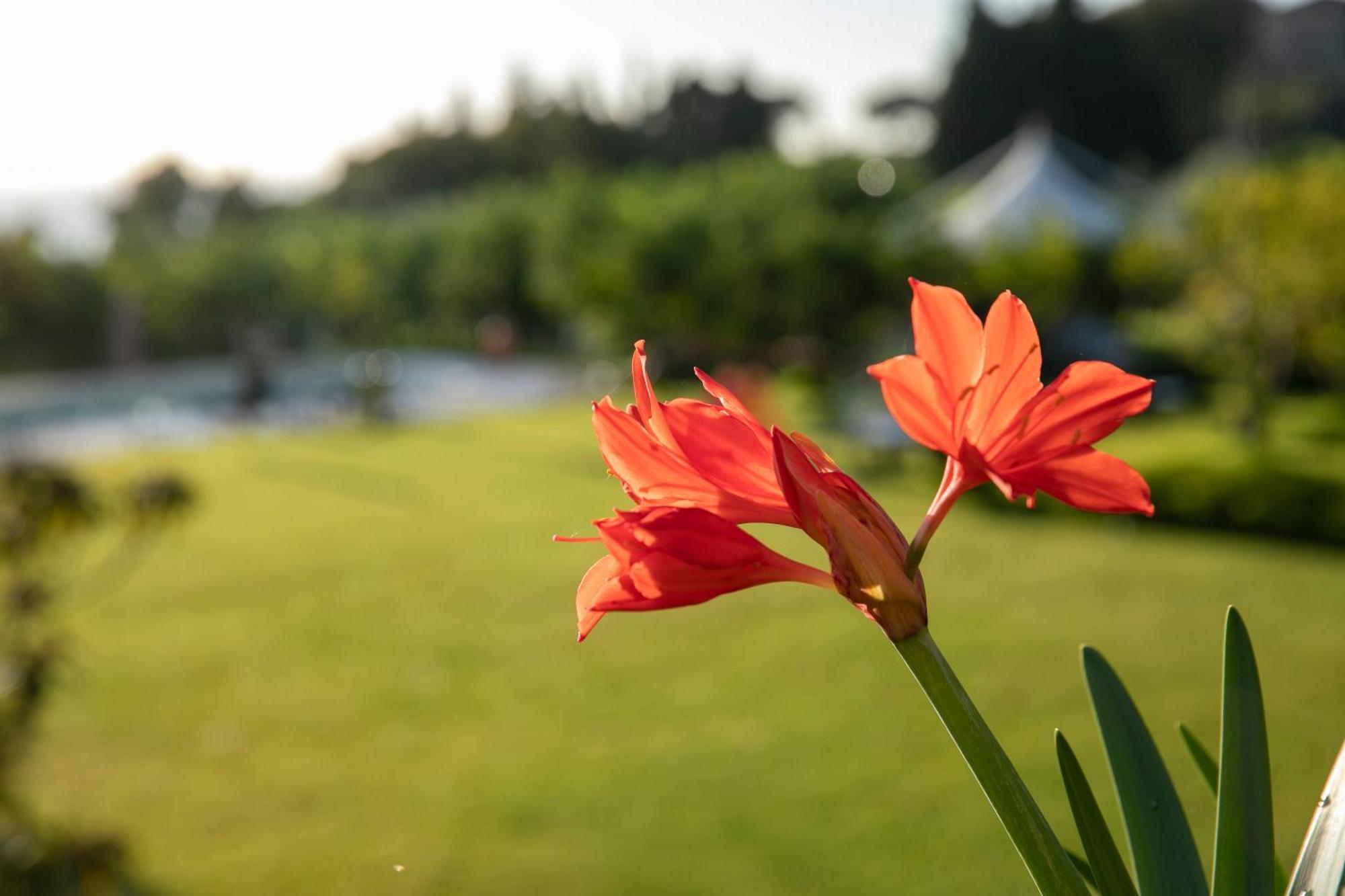 Agriturismo San Leonardello 外观 照片