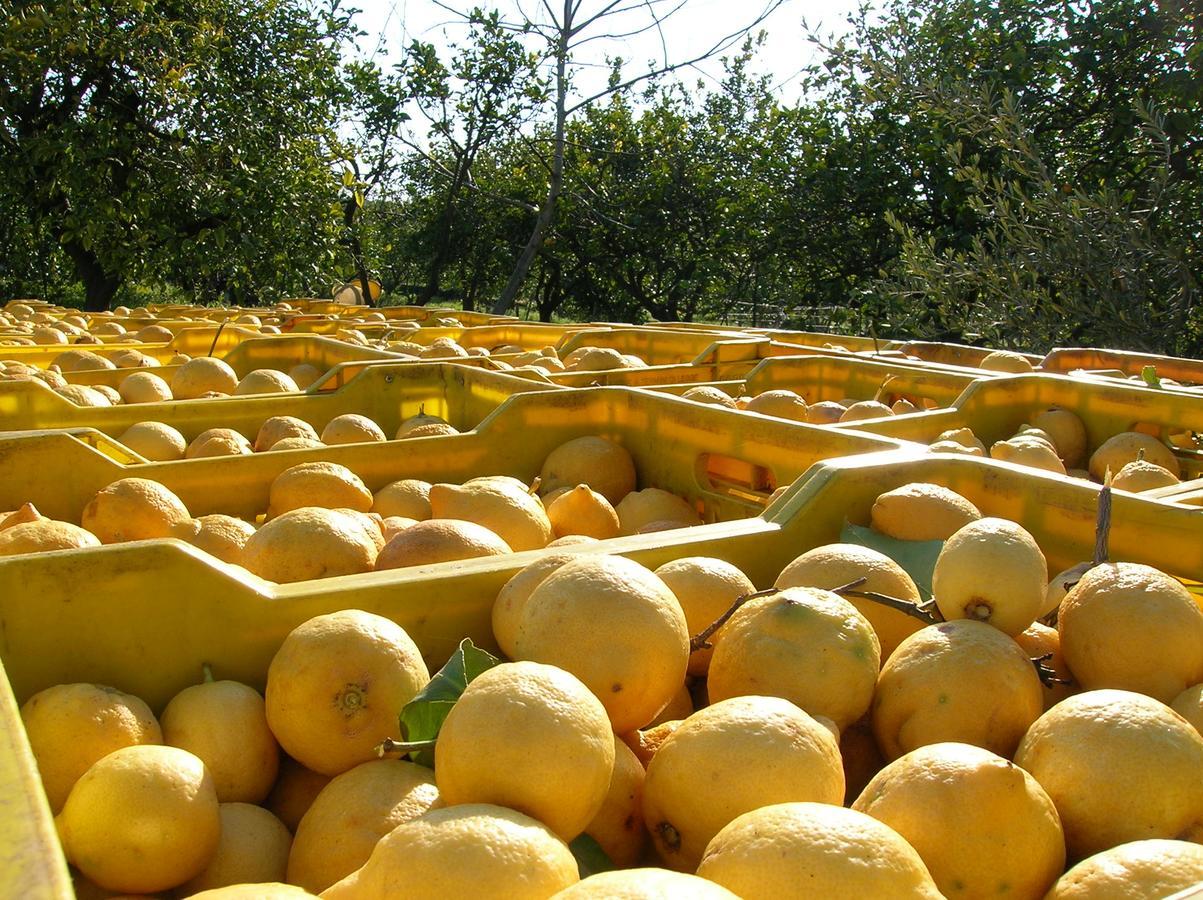Agriturismo San Leonardello 外观 照片